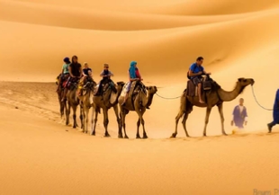 Erg Chebbi Sahara Desert Tour