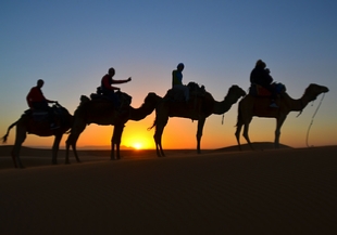 Chefchaouen and Desert tour from Casablanca 7 days