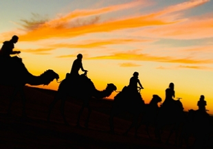 Tour from Casablanca