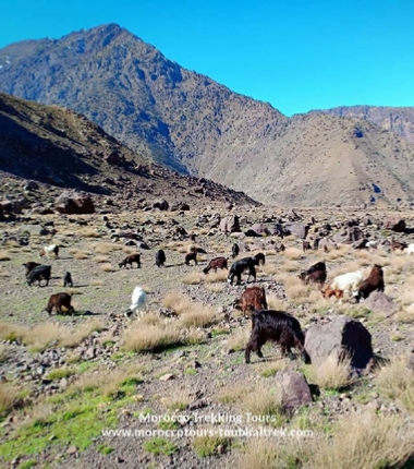 Group 2 Days Berber Villages Trek