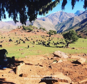 Group 2 Days Berber Villages Trek