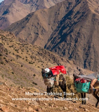 Group 3 Days Berber Villages Trek