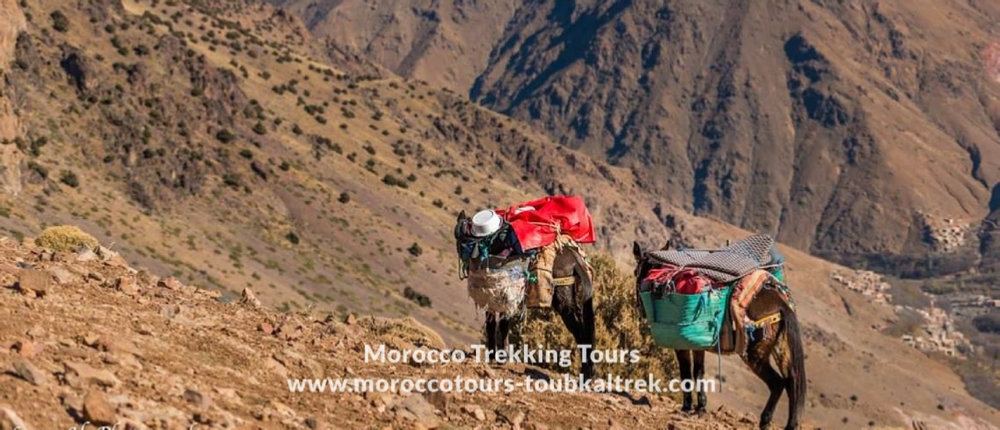 Group 3 Days Berber Villages Trek