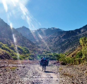 Group 3 Days Berber Villages Trek