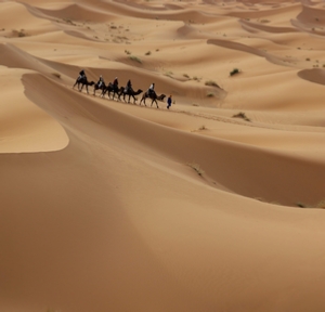 Group Mount Toubkal & Sahara tour