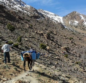 Group Mount Toubkal & Sahara tour