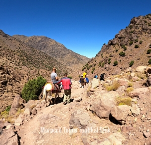 Group Toubkal Treks 2 days