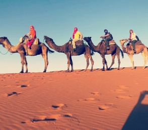 Marrakech Tours PDF